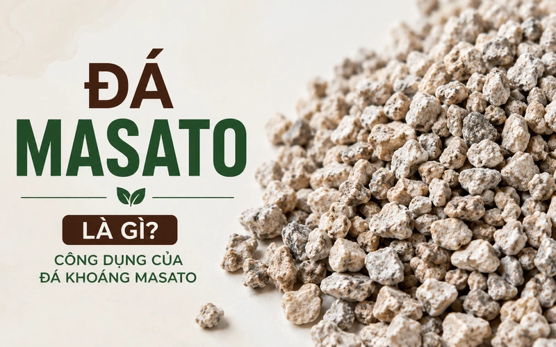 da-masato-la-gi-cong-dung-cua-da-khoang-masato